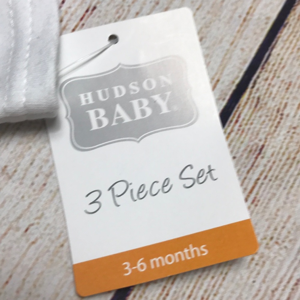 NWT/ Hudson | baby 3 piece set 3-6 months infant - Picture 4 of 6